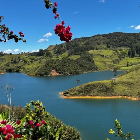 357129fd-34dd-4b3d-8e8c-1f89c99dace0