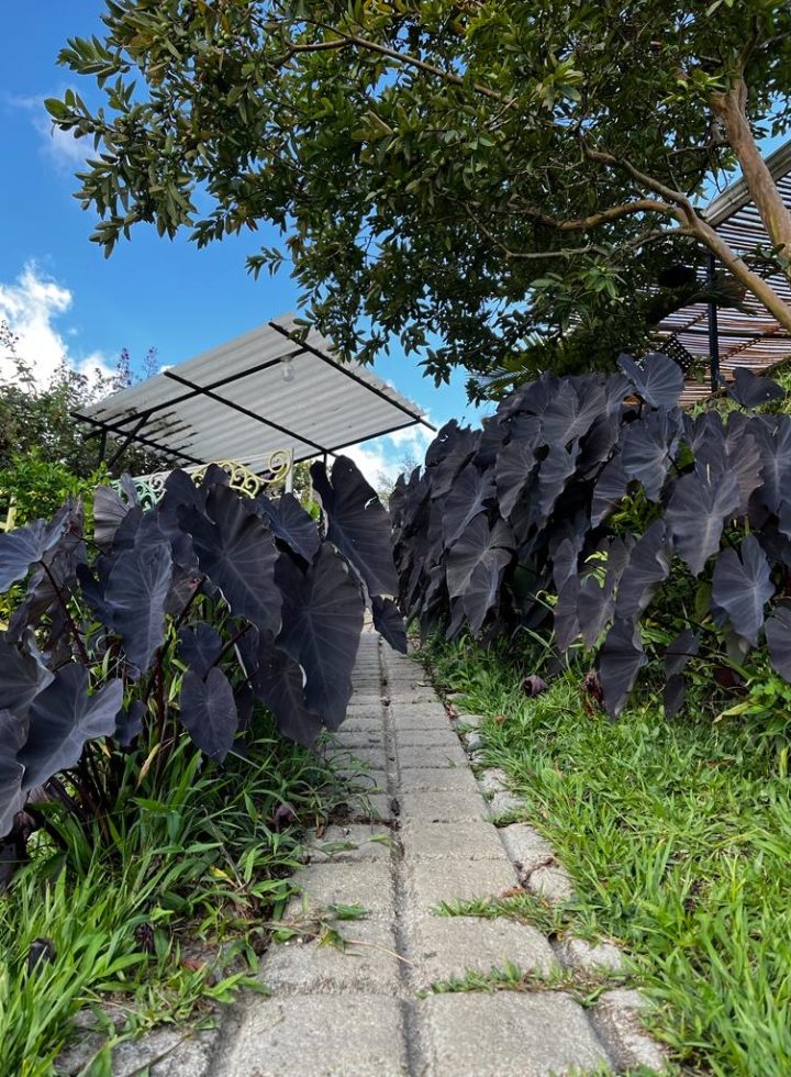 937ad79c-530e-4f40-98a7-8bf0f3e09ba6