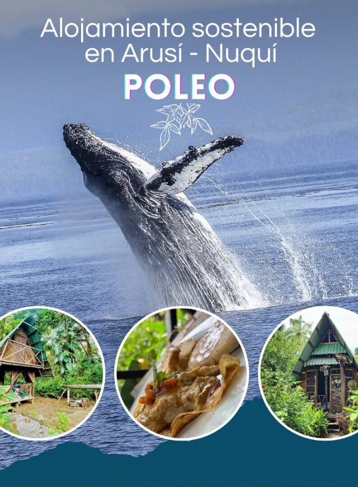 Imagen de WhatsApp 2023-11-14 a las 18.55.07_769408b8